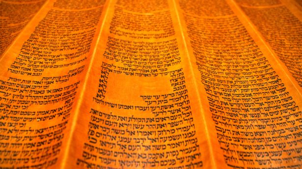 Torah Rolle