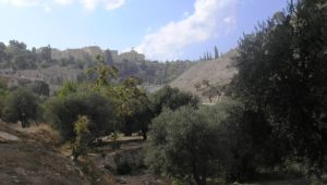 Hinnom Tal Jerusalem