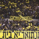 Fans im Fussballstadion
