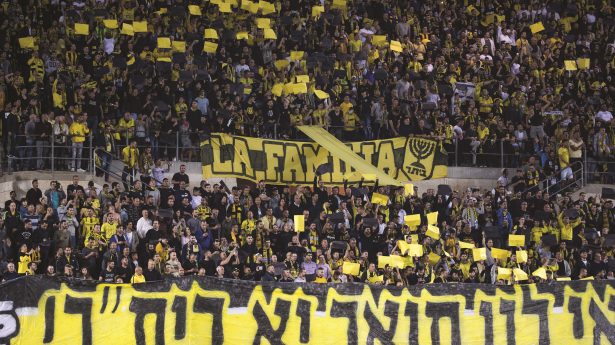 Fans im Fussballstadion