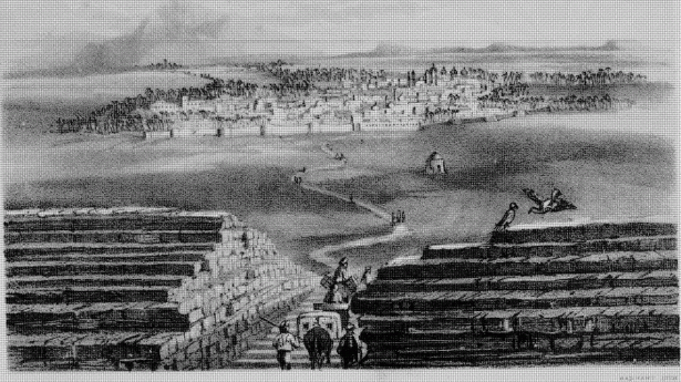 Blick auf Medina