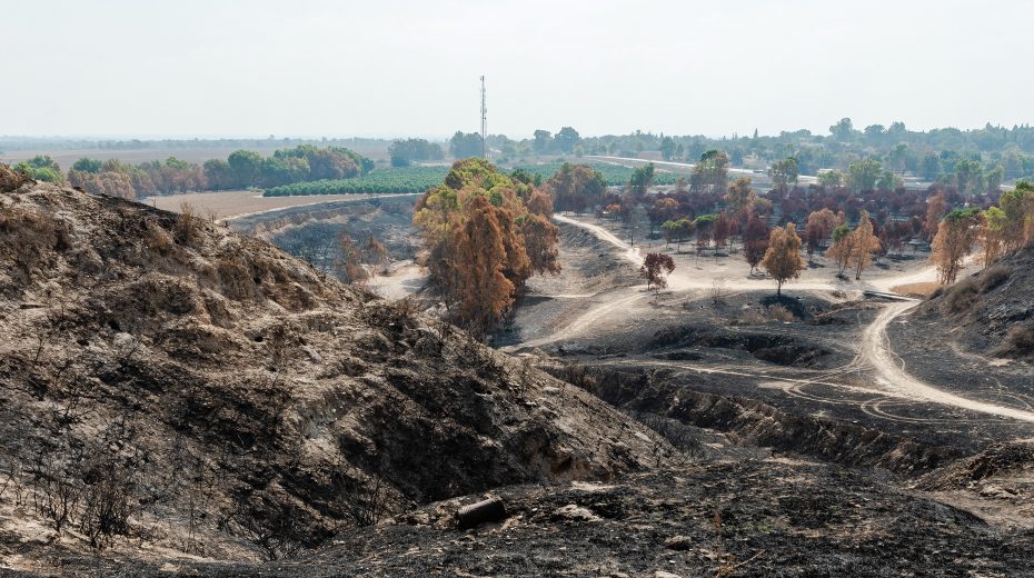 Gaza Strip