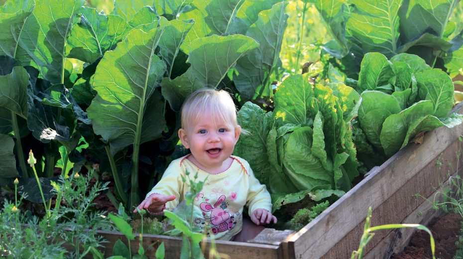 Baby Boom in July Baby