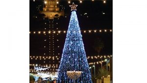 Christmas trees