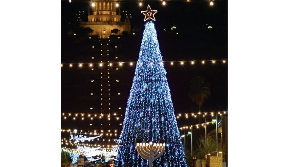 Christmas trees