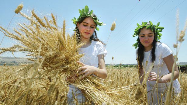 Kibbutz