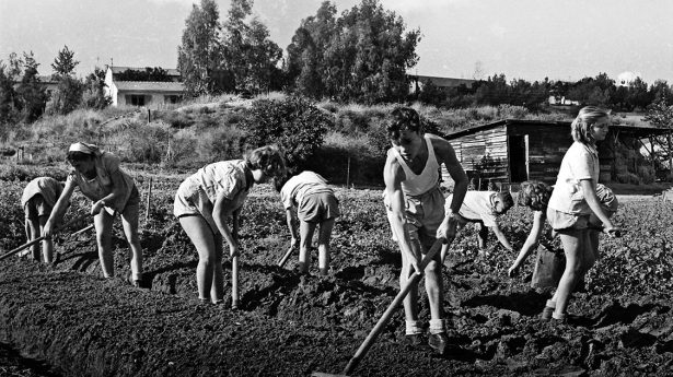 Arbeit im Kibbutz
