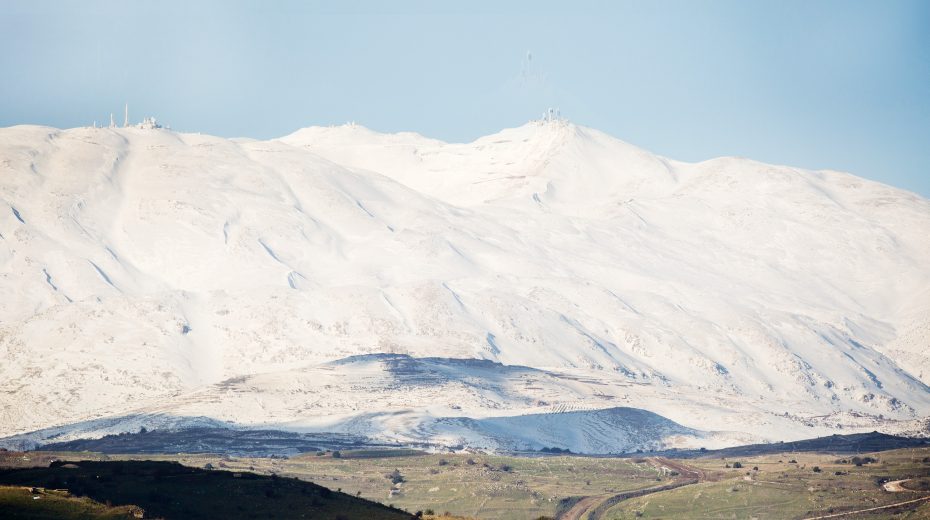The Desert Blossoms, the Mountain Glitters
