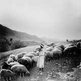 Jordantal, 1920