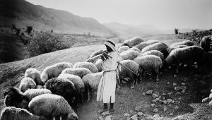 Jordantal, 1920