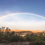 Regenbogen