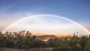 Regenbogen