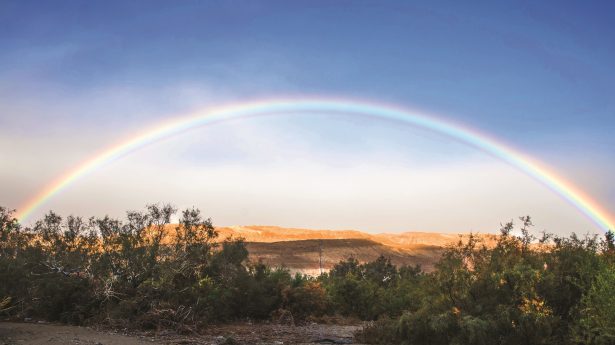 Regenbogen