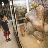 Naturkundemuseum Tel Aviv