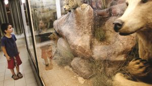 Naturkundemuseum Tel Aviv