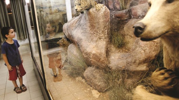 Naturkundemuseum Tel Aviv