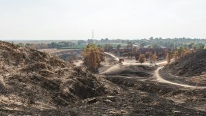 Grenzgebiet zum Gazastreifen