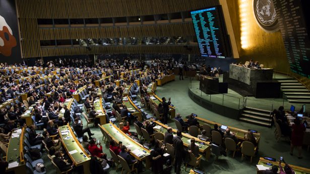 United Nations General Assembly. The international community will bow to the False Prophet and his agenda.