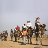 Kameltour
