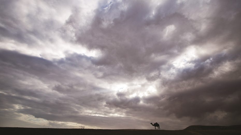 “Stop Praying for Rain!”