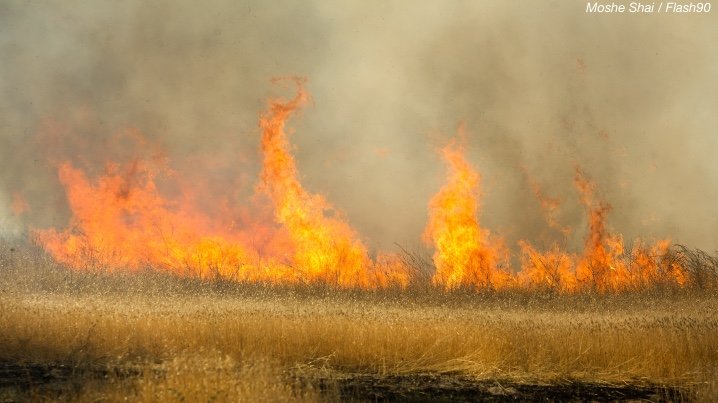 Gaza Violence Intensifies, as Southern Israel Burns