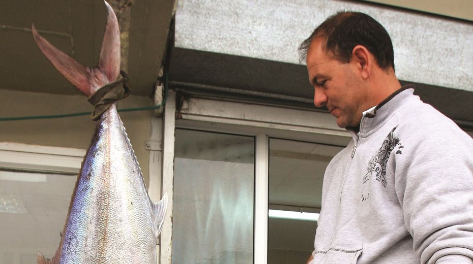 Larger Fish for a Growing Population