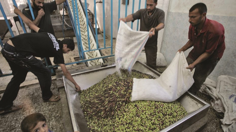 Economic Cooperation With Gaza