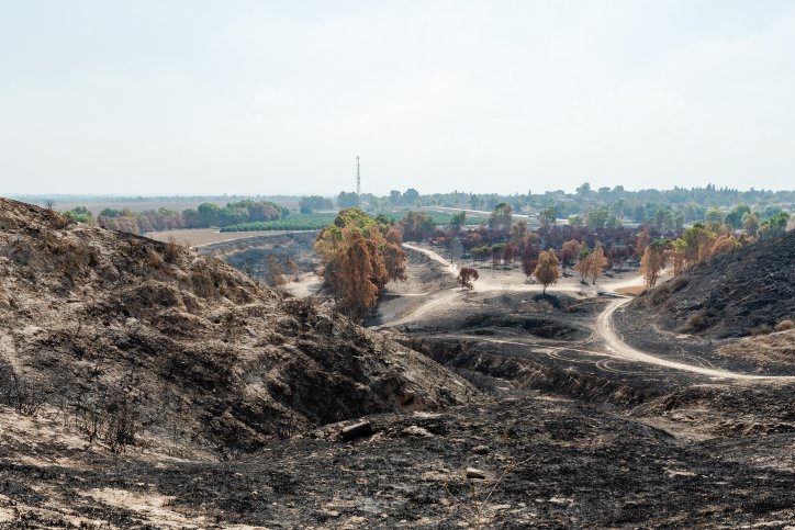 What’s Behind the Fires Ravaging Israel, Iraq and Syria?