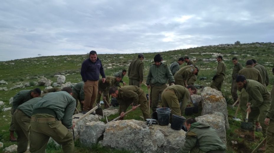 From the Army of Judah to the IDF