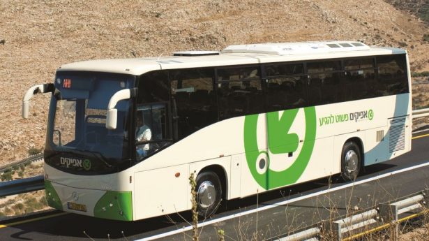 Bus