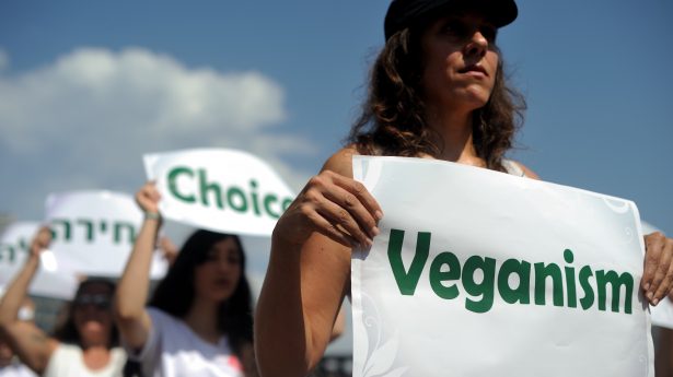 Only Liberals Support Animal Rights?