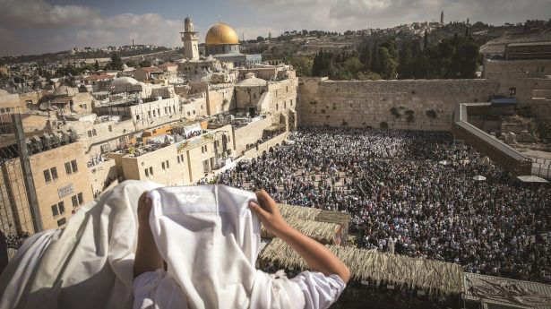 Jew praying in front of western wall