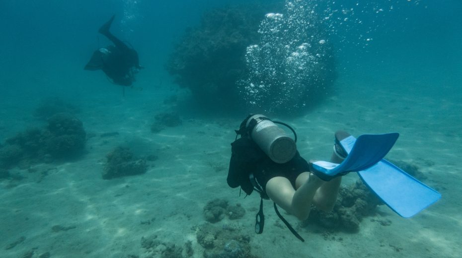 Red Sea
