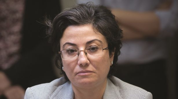 HANIN ZOABI