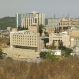 Hadassah