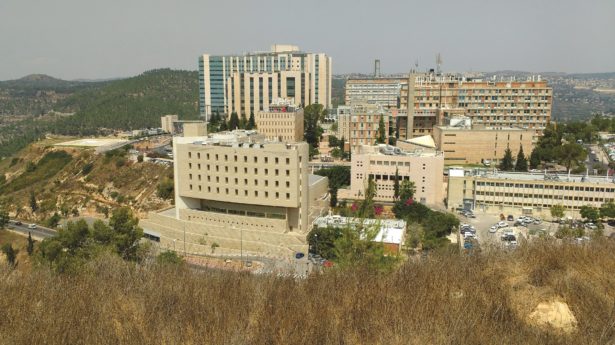 Hadassah