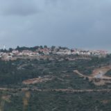 Dolev