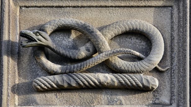 Sculpture Snake Decoration