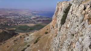 Arbel Berg