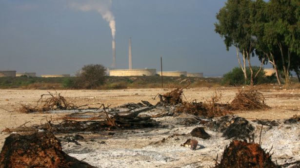 Jewish Views on Climate Change