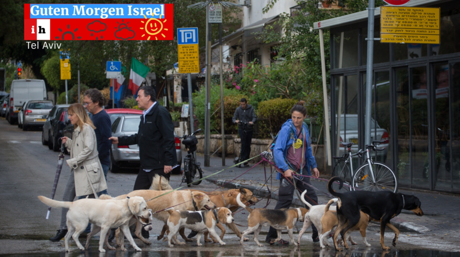 Tel Aviv Hunde