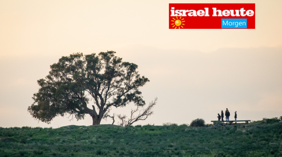 Sonnenuntergang Baum bei Kiriat Gat