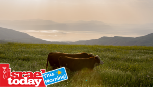 Israel's butter shortage took me by surprise.
