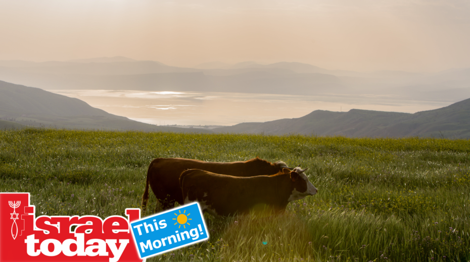 Good Morning, Israel: Buttered Side Down Israel's butter shortage took me by surprise.