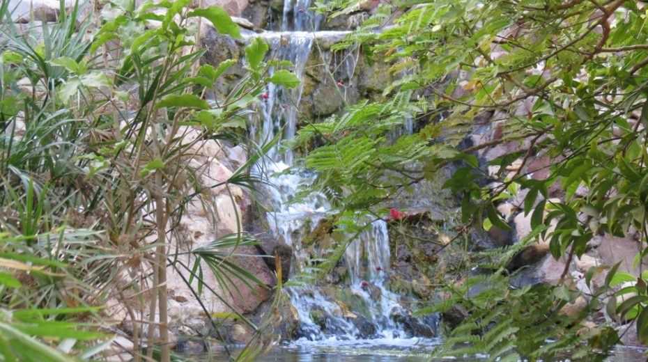 The Botanical Gardens of Eilat