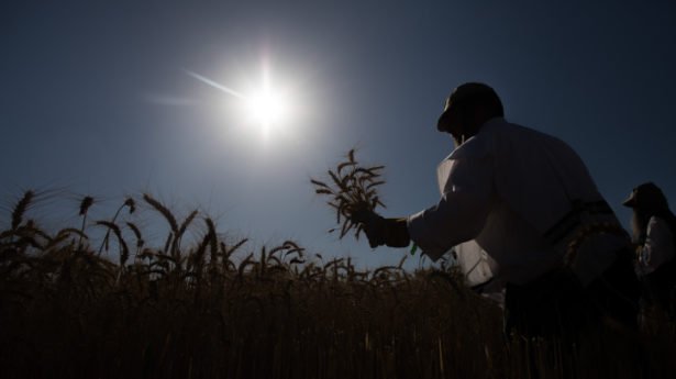 What does prophecy say about coronavirus and the plagues to come?
