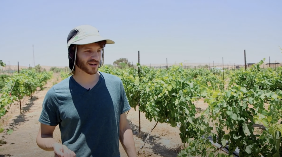 Combating Desertification and Drought – The Israeli Experience