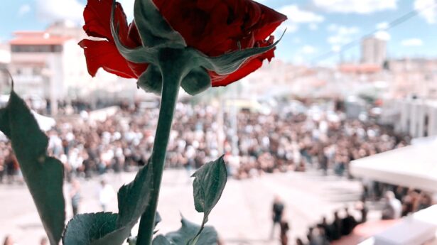 Zum Abschied rote Rosen