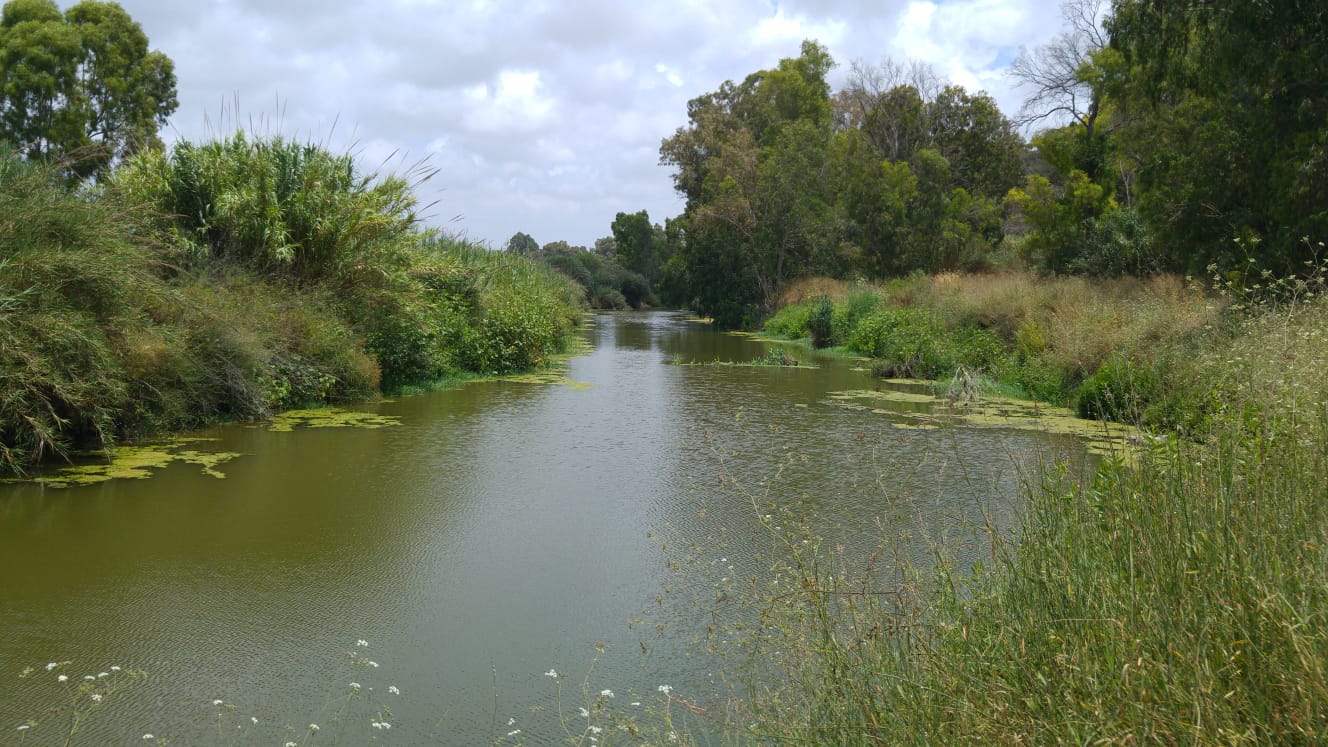 Nachal Sorek