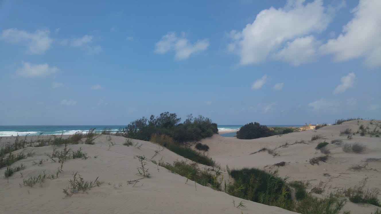 Stranddd